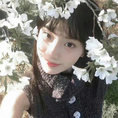 松树谷 在线观看